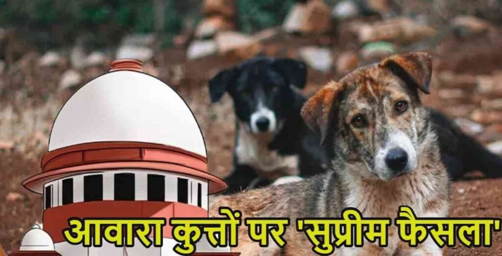 Supreme Court Verdict On Stray Dogs